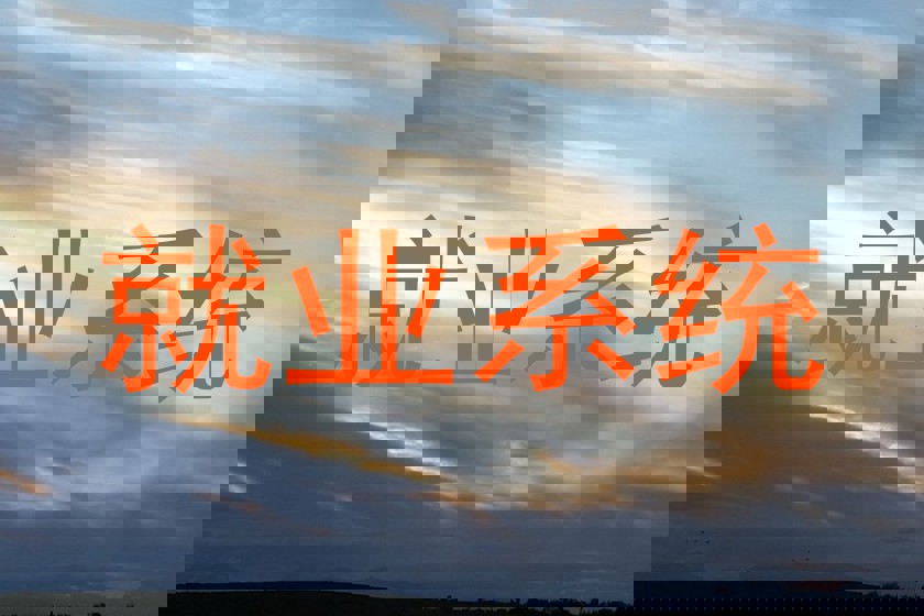 就业系统