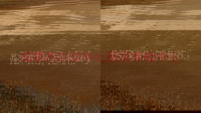 成都市妇幼中心医院体检中心