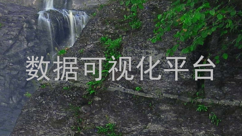 数据可视化平台