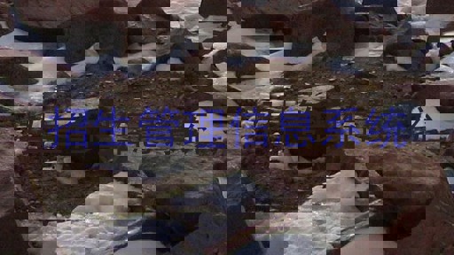 招生管理信息系统