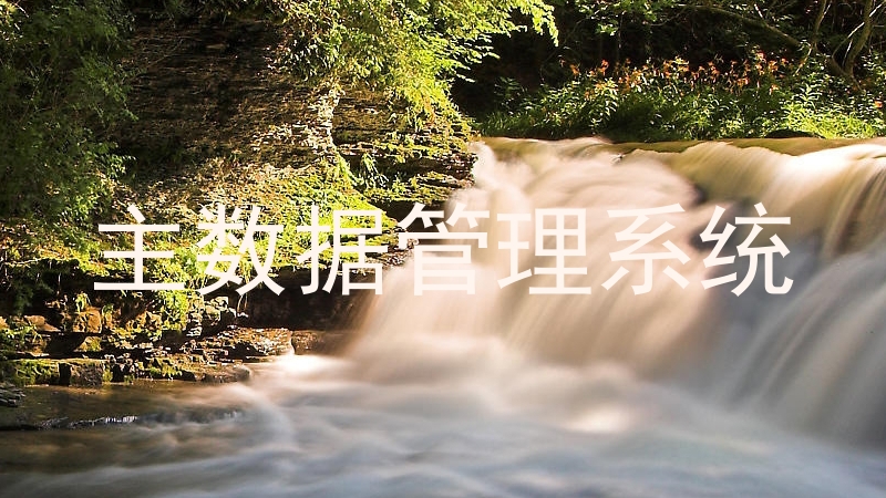 主数据管理系统