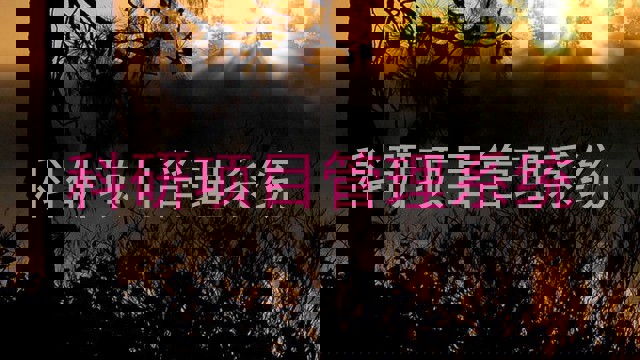 科研项目管理系统