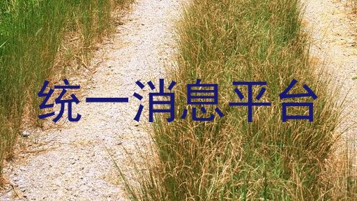 统一消息平台