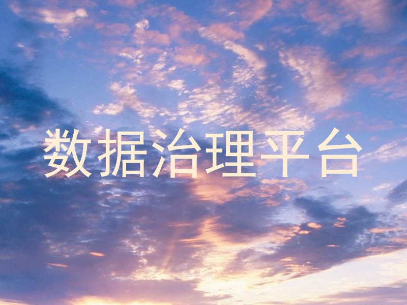 数据治理平台