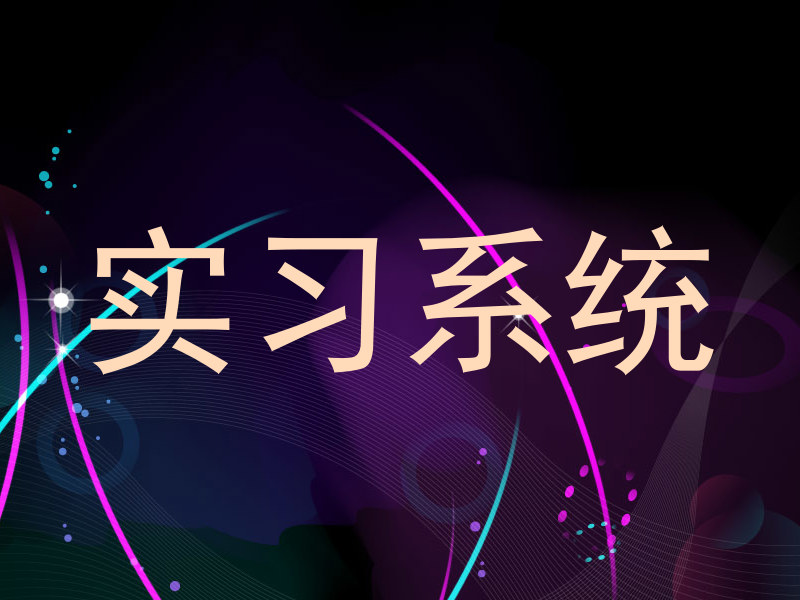 实习系统