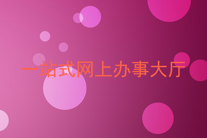 一站式网上办事大厅