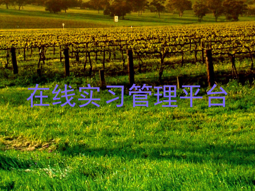 在线实习管理平台