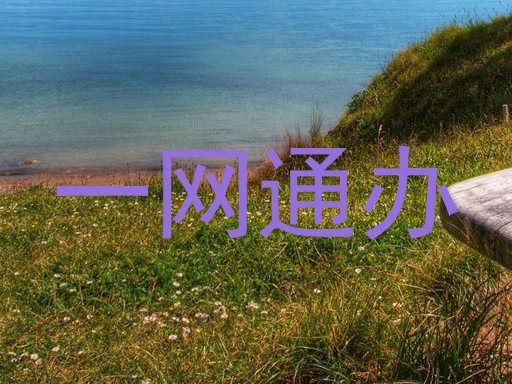 一网通办