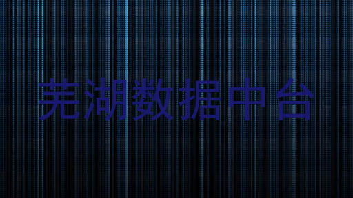 芜湖数据中台