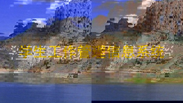 学生工作管理信息系统