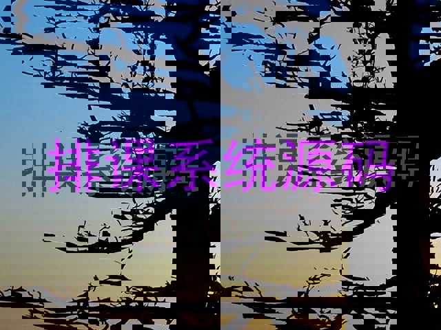 排课系统源码