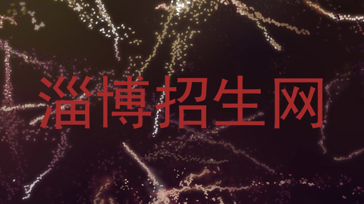 淄博招生网