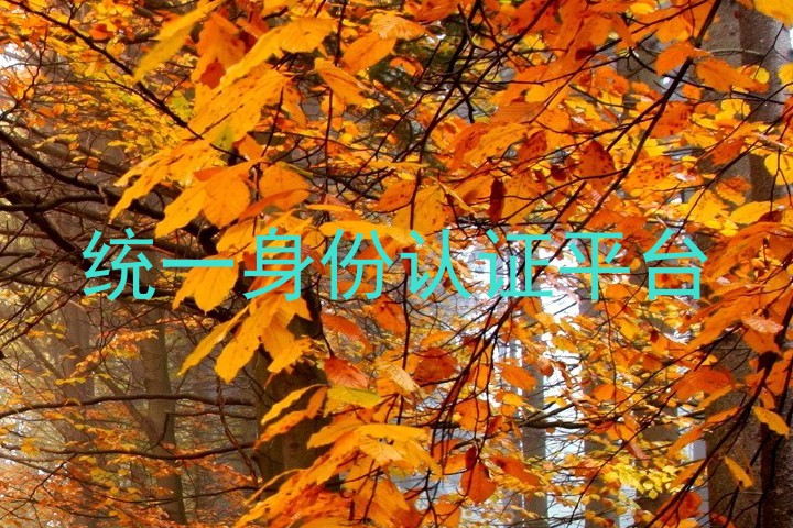 统一身份认证平台