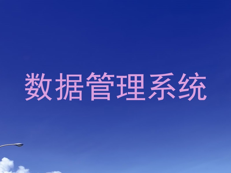 数据管理系统