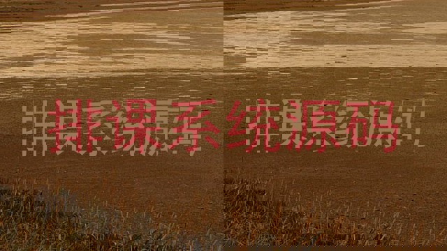 排课系统源码