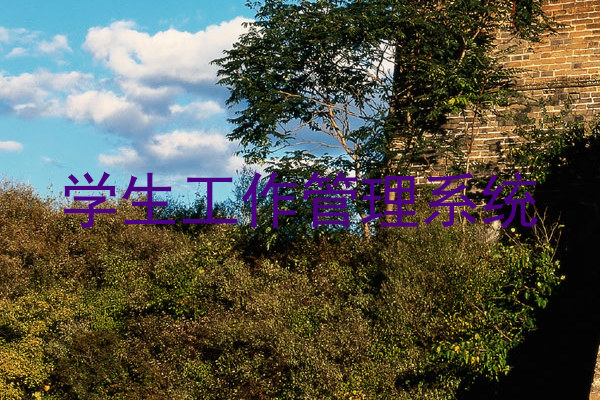 学生工作管理系统