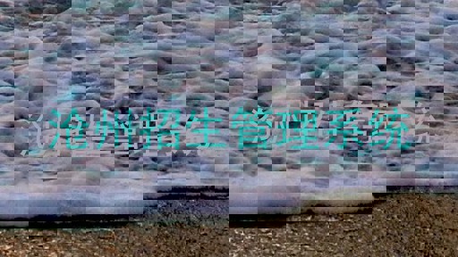 沧州招生管理系统