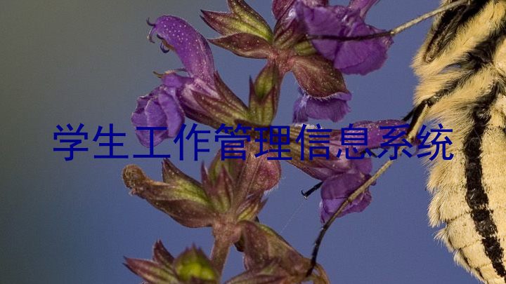 学生工作管理信息系统
