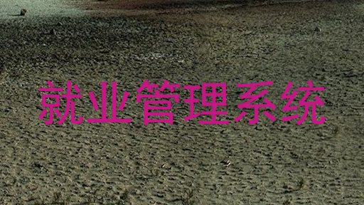 就业管理系统
