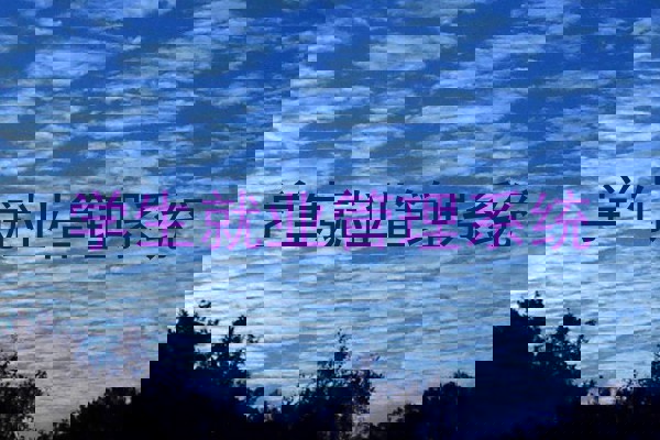 学生就业管理系统
