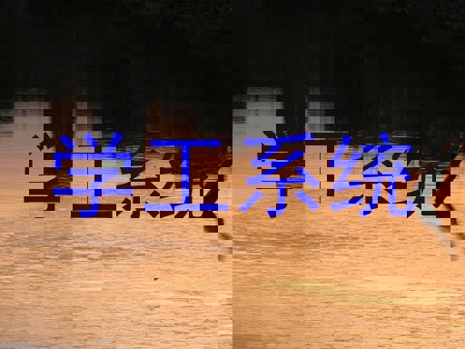 学工系统
