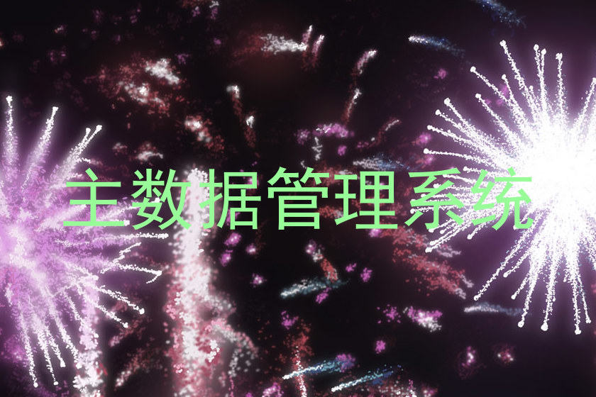主数据管理系统