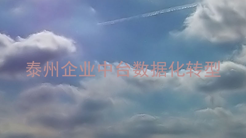 泰州企业中台数据化转型