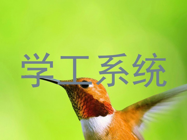 学工系统