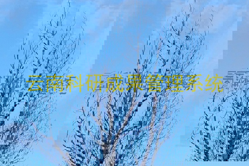 云南科研成果管理系统