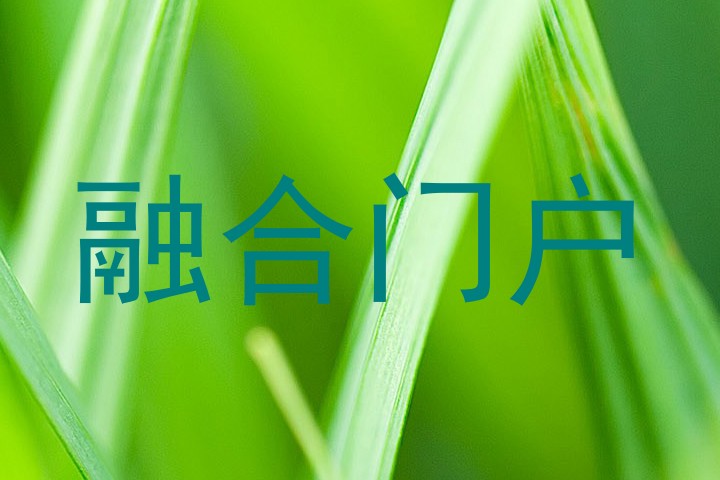 融合門(mén)戶(hù)
