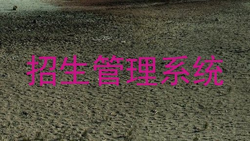 招生管理系统