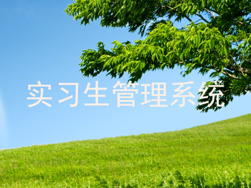 实习生管理系统
