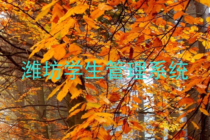 潍坊学生管理系统