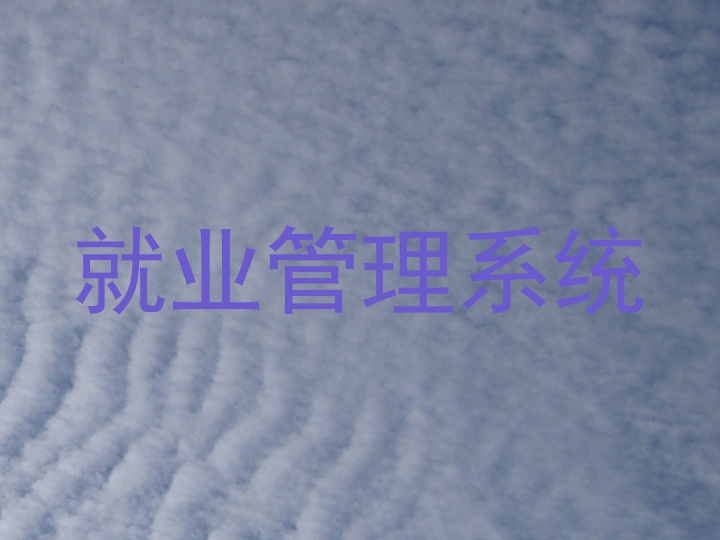 就业管理系统