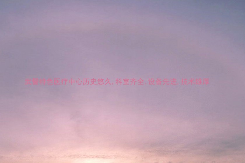 武警特色医疗中心历史悠久,科室齐全,设备先进,技术雄厚