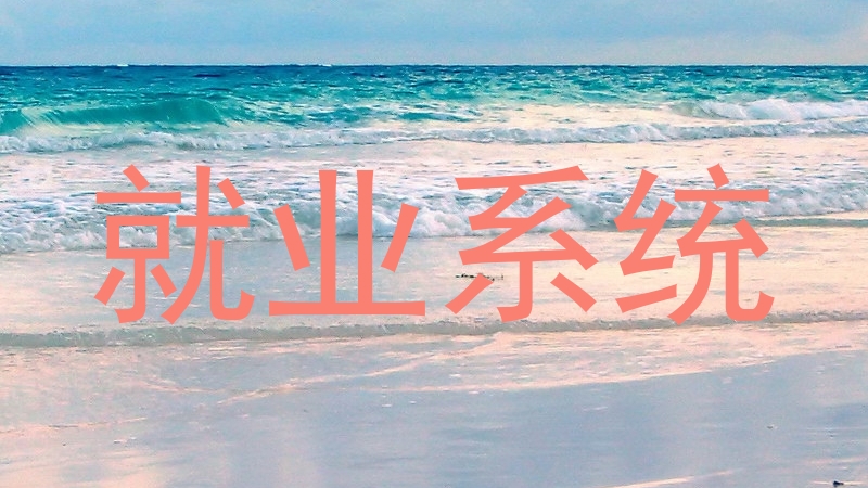 就业系统