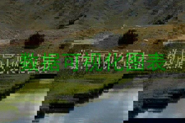 数据可视化图表