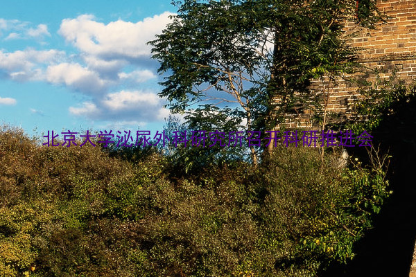 北京大学泌尿外科研究所召开科研推进会