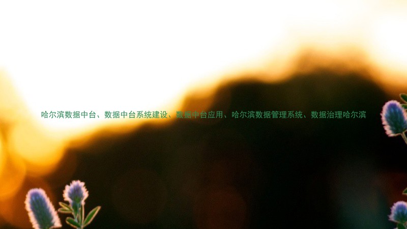 哈尔滨数据中台、数据中台系统建设、数据中台应用、哈尔滨数据管理系统、数据治理哈尔滨