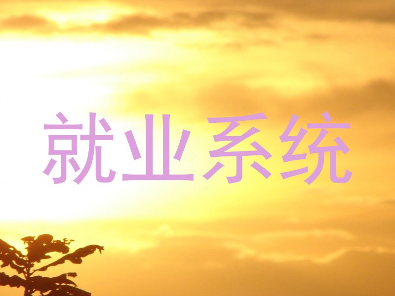 就业系统