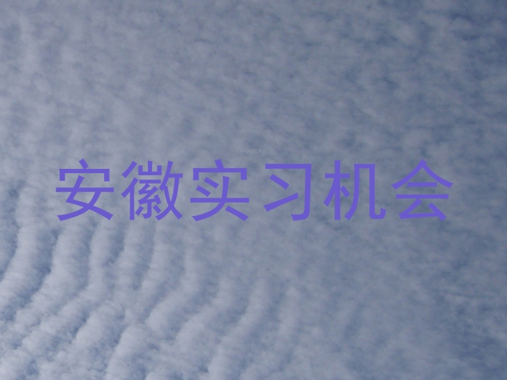 安徽实习机会