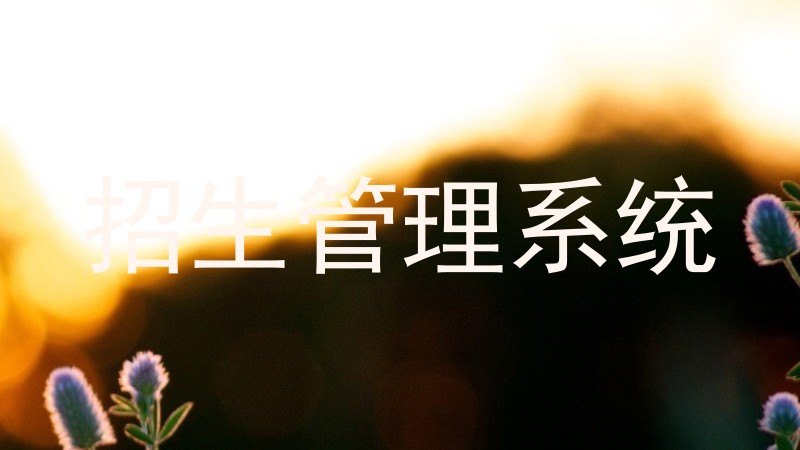 招生管理系统