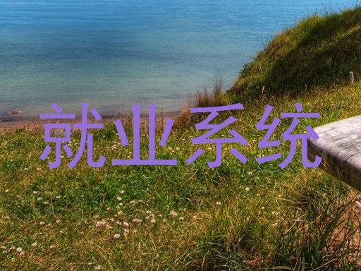 就业系统