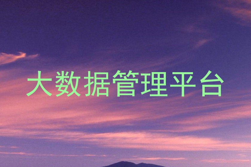 大数据管理平台