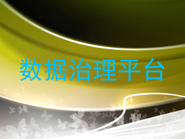 数据治理平台