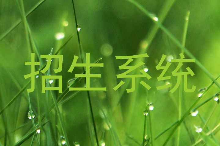 招生系统