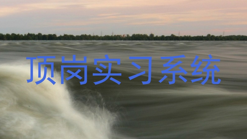 顶岗实习系统