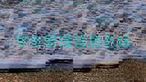 学生管理信息系统