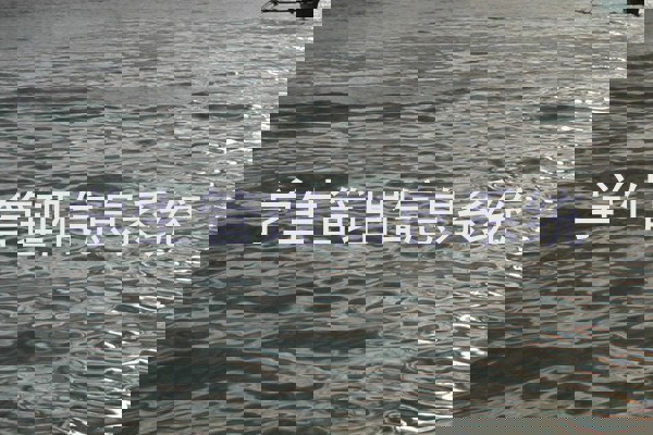 学生管理信息系统