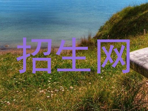 招生网